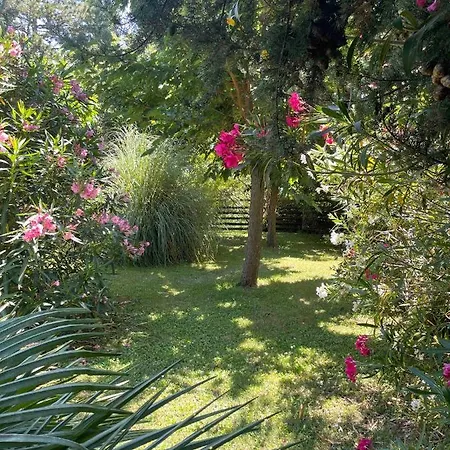 Au Château Des Estubiers *